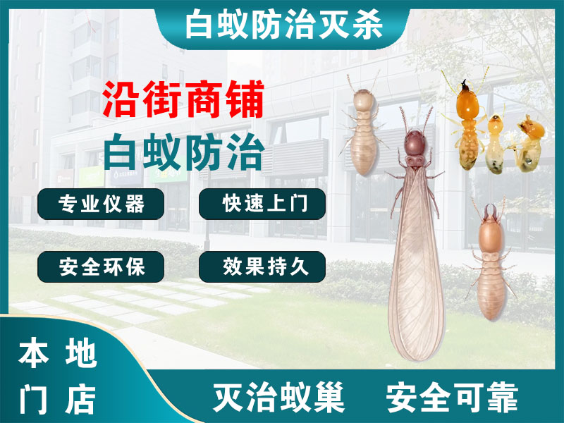 锡山沿街商铺白蚁防治
