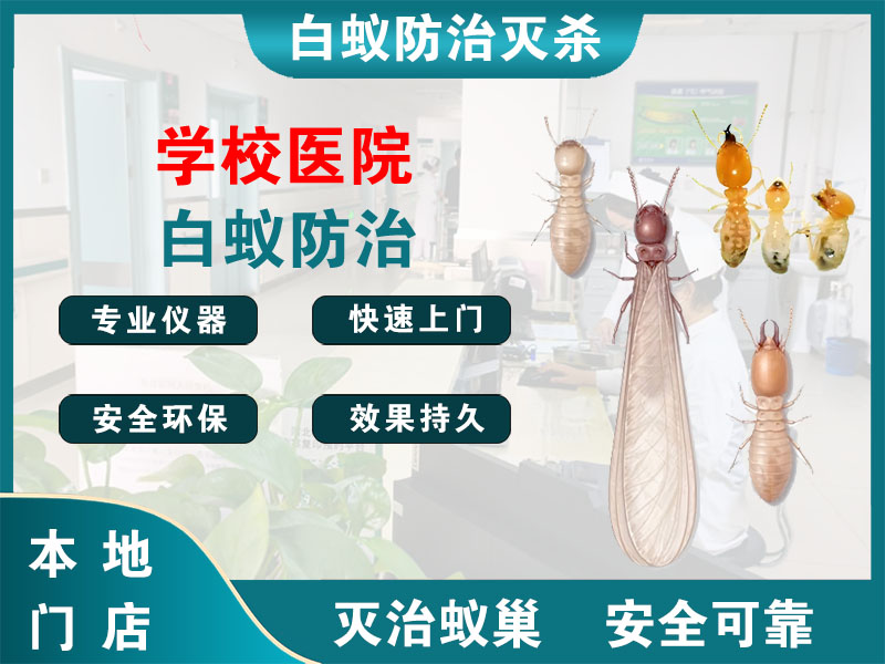 锡山学校医院白蚁防治