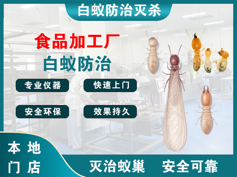 锡山食品加工厂白蚁防治