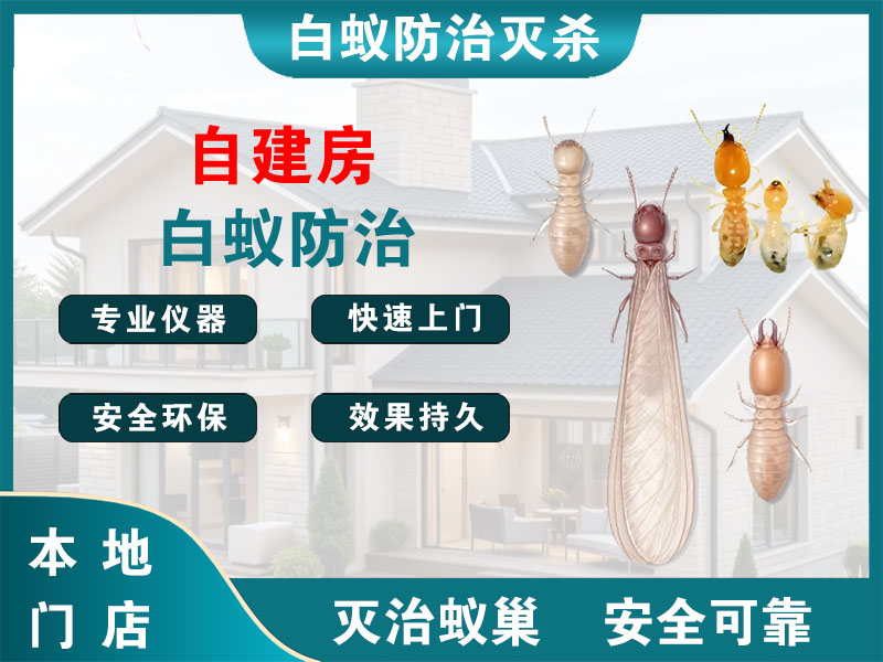 锡山自建房白蚁防治