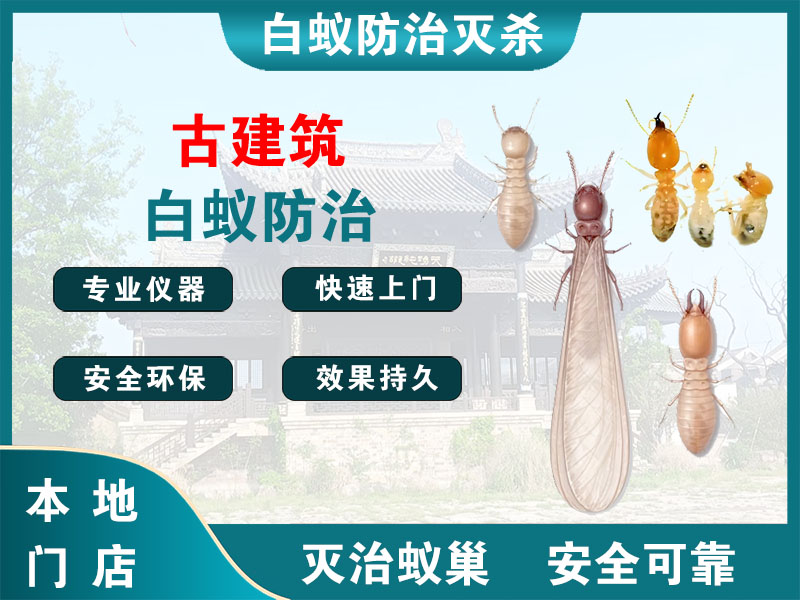 锡山古建筑白蚁防治
