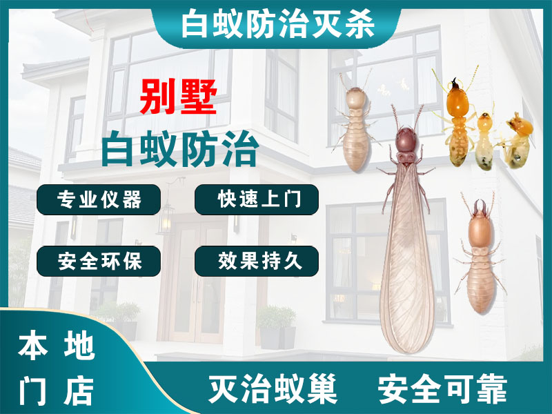 锡山别墅白蚁防治