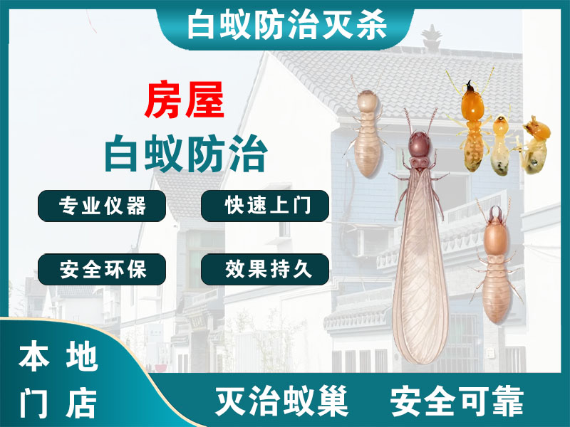 锡山房屋白蚁防治